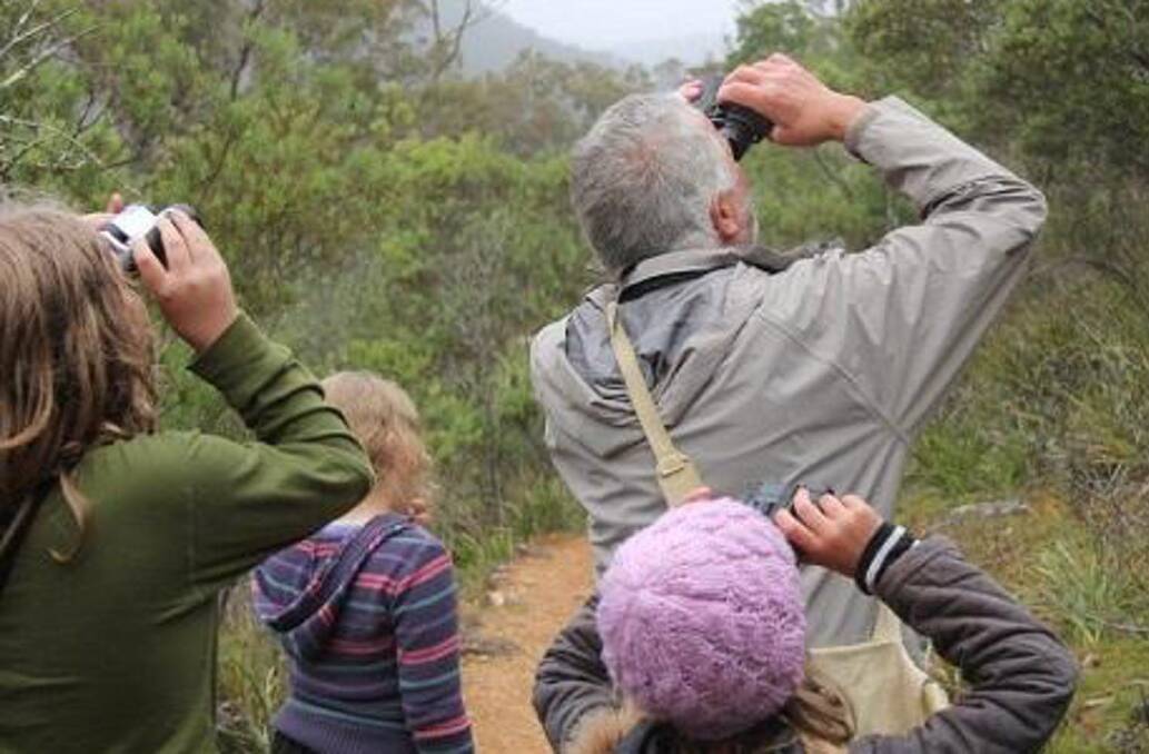 More than 50 citizen scientists are expected to arrive at Wombeyan Caves this weekend to participate in the annual 'Bioblitz' wildlife survey.