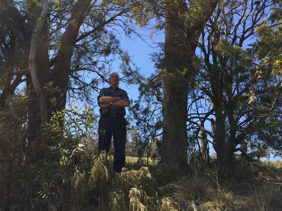 George Quigg wants council to remove "dry, overhanging trees" on Canyonleigh Road. Photo: Emily Bennett