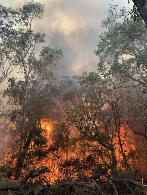 FIRE: The Morton fire broke out on Saturday night. The blaze had affected residents in Bundanoon, Wingello, Penrose, Meryla, Exeter, Avoca, Fitzroy Falls and surrounding areas. Photo: Illawarra Mercury