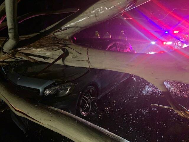 Five council road crews were called to the scene, where the tree landed on a car and brought down power lines. Photo: Wingecarribee Shire Council
