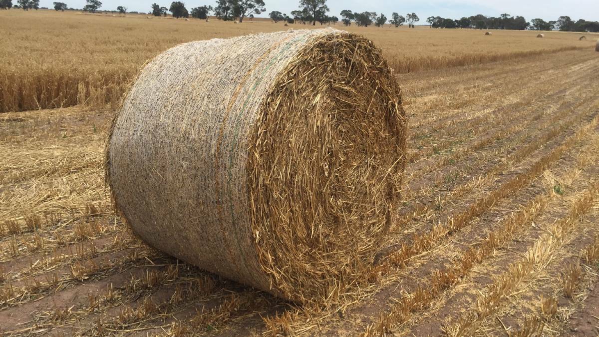 Police are investigating reports of a fraud currently targeting farmers in the Southern Highlands. Photo: File