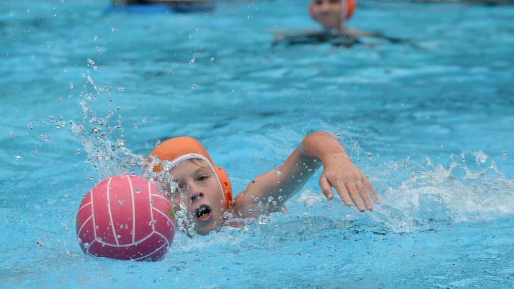 Latest B grade waterpolo results from Frensham Pool.