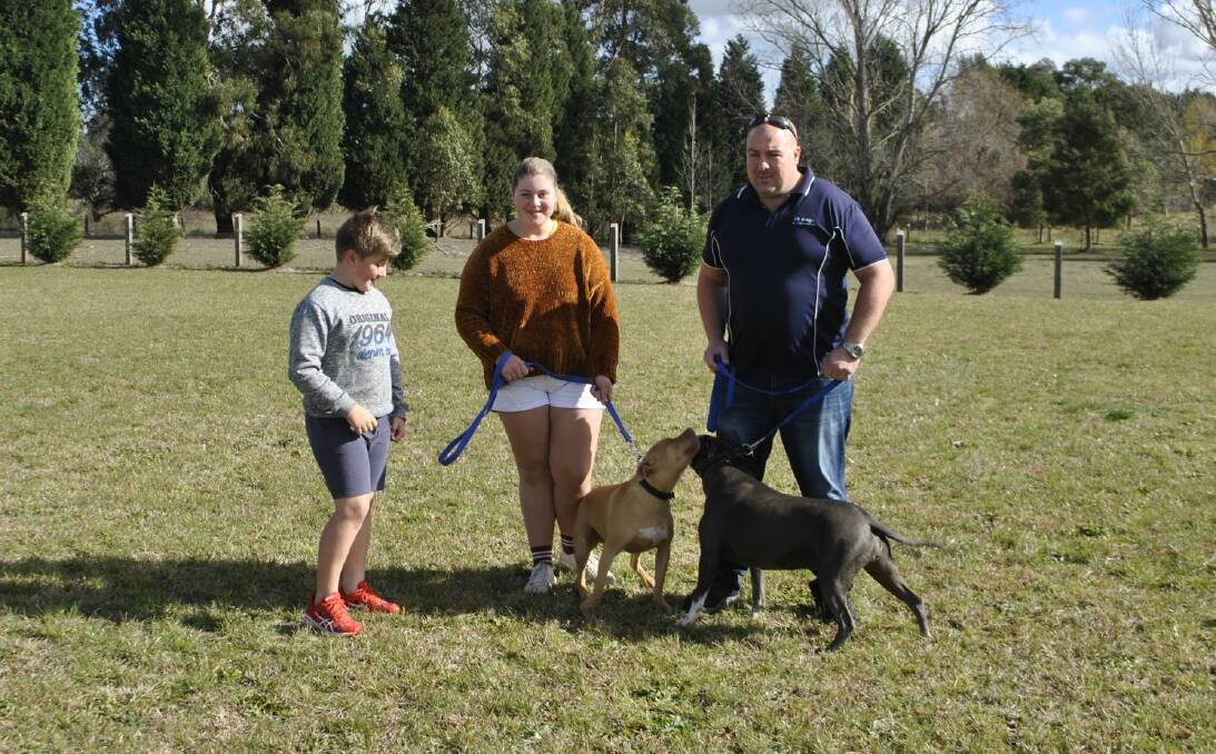 PART OF THE FAMILY: Gabriel Samulski, Natasha Samulski and Paul Samulski with their Staffordshire Bull Terriers Emma and Ella in their Bowral backyard. Photo: Hannah Neale
