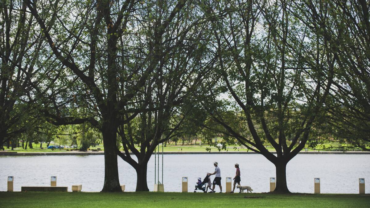Canberra's lake foreshores need to be accessible to all residents, not just a privileged few. Picture: Dion Georgopoulos.