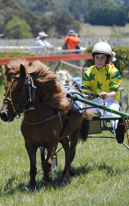 Stable full of events: Action from the "mini trotting" competition on at the 2016 Bowral Show, one of the many horse-related events. Photos: SHN
