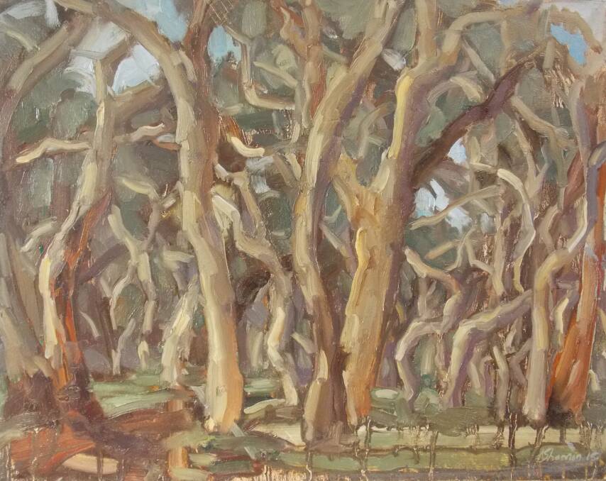 'Tourist Road Trees' by Kim Shannon was selected as a finalist in this year's NSW Parliament Plein painting prize. Photo: supplied