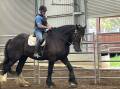 GIDDY-UP: Trainer Scott Brodie puts Cedars Stormy George through his paces at his equine centre, Horses From Courses at Helensburgh.