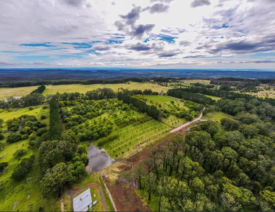 WONDERFUL OPPORTUNITY: The 22-hectare Sassafras Nuts farm, west of Nowra is is being offered for sale in 25 years. Image: supplied