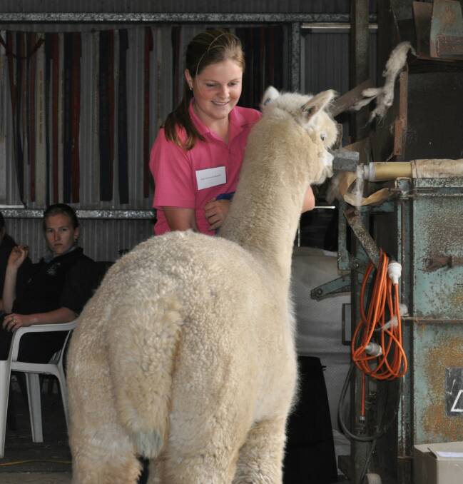 LONG LINKS: Celebrating 10 years of the NSW Alpaca Youth Group, 2022 RAS Rural Achiever and current convener Katy Armson-Graham, photographed at the inaugural NSW Alpaca Youth Camp in 2012.
