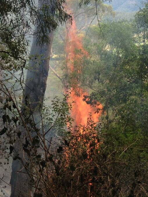 The Barrengarry Mountain fire is in remote bushland near Paddington Lane, off Moss Vale Road. Photo: Kangaroo Valley RFS

