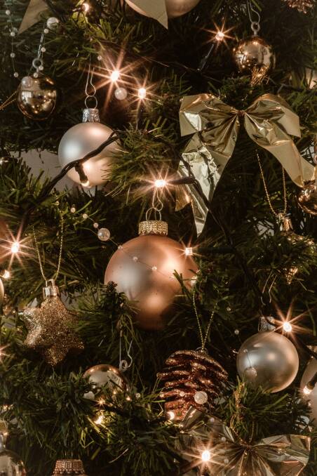 When is the right time to purchase a Christmas tree?