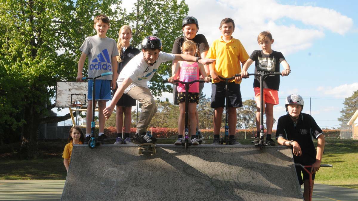 Team effort: Tyson Robb and his friends started a petition last year to get their skatepark in Bundanoon upgraded. Photo: SHN file.