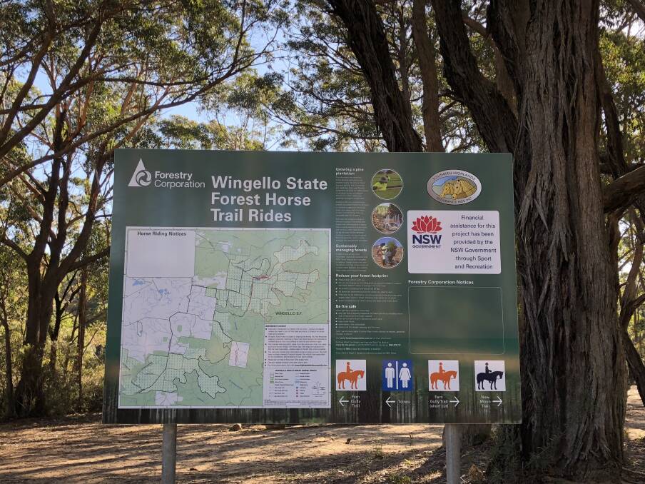 Two new permanently marked trails were created at Wingello State Forest. Photo: supplied.