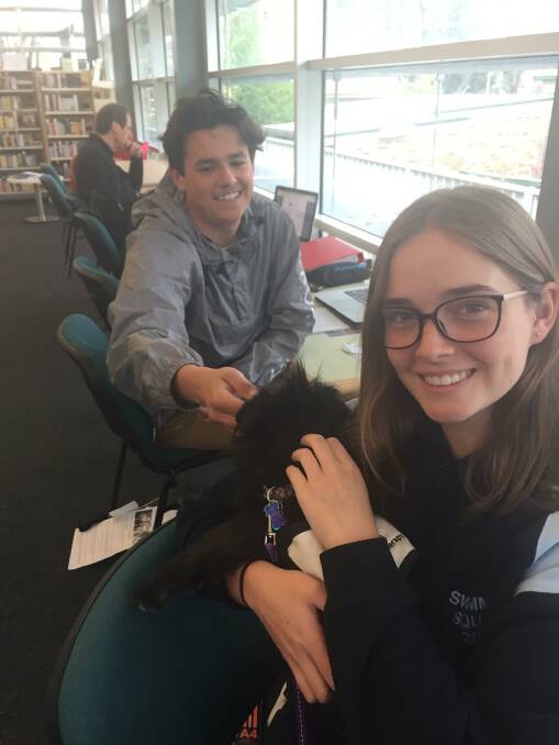 Carlo Teodorowych from Chevalier College and Nina Jephcott from Frensham took a break from their HSC studies with Molly. Photo: Michelle Thomas.