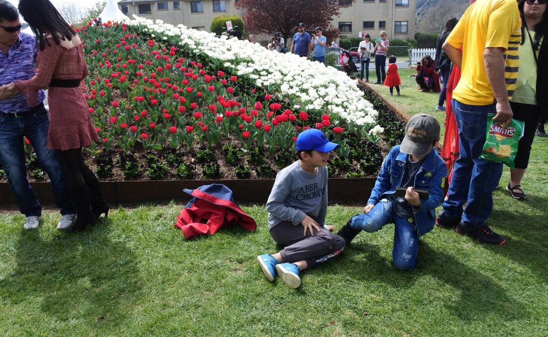 Dates for 2019 Tulip Time announced