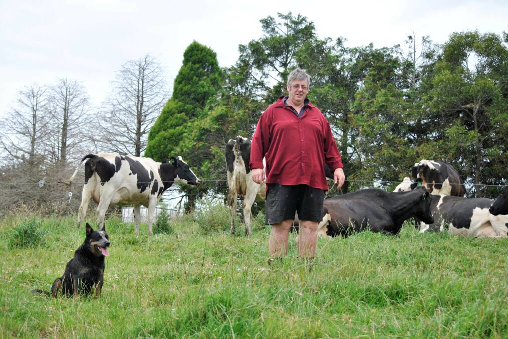 All in the family: Greg Schofield is a fourth generation dairy farmer, his two sons work on the farm making them the 5th and he said he's already got a grandkid who wants to be the 6th. Photo: Olivia Ralph