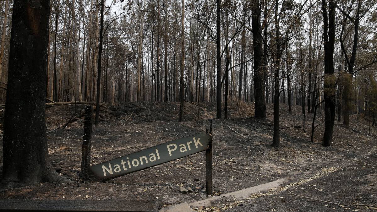 Burnt out bushland south of Taree on November 11. Picture: Darren Pateman