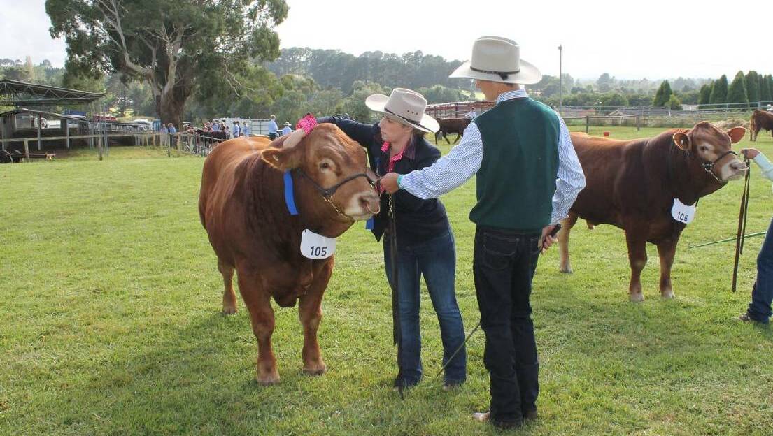 A full schedule of events and activities is planned for the Moss Vale Show in March. Picture: file