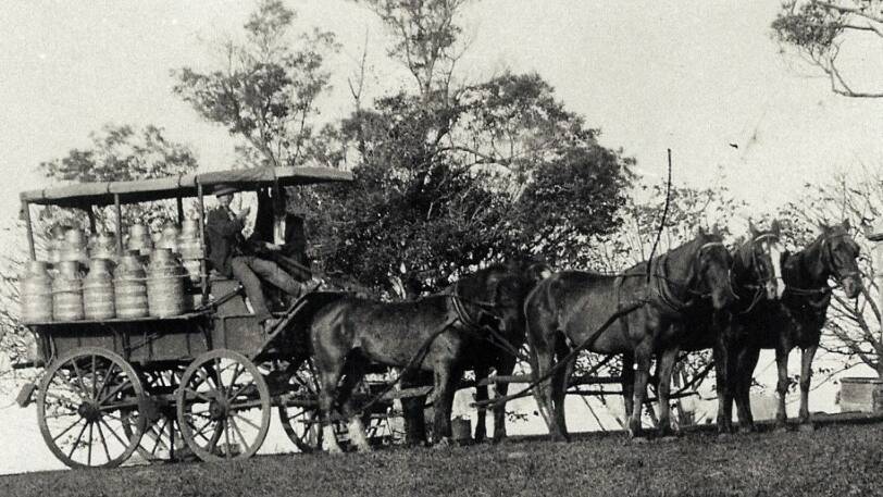 WHOLESOME: Robertson farmer carts cans of fresh milk to a local butter factory, 1890s. Photo: BDH&FHS.