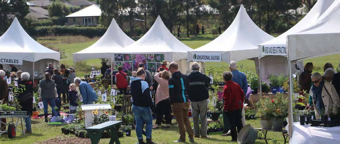 This year's plant fair will be bigger and better, with 18 new stall holders joining in.