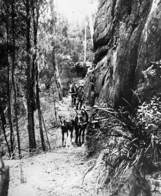 PRECIPITOUS: Meryla Pass, pictured c1890, was a busy bridle track for 100 years. Photo: Bundanoon History Group