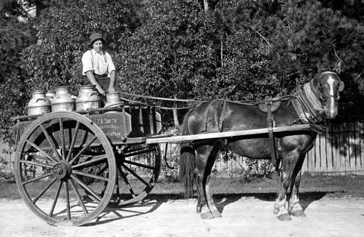 FRESH DELIVERY: Dairyman TA Smith with milk for Mittagong factory, 1916. Photo: BDH&FHS.