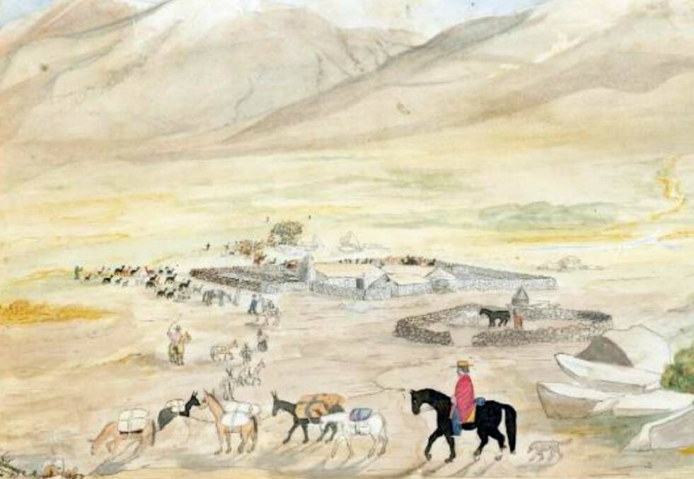 OVER THE ANDES: A sketch titled Our establishment in Laguna Blanca by Ledgers shepherd, Santiago Savage, of the alpacas and llamas en route to NSW. Image: Mitchell Library.