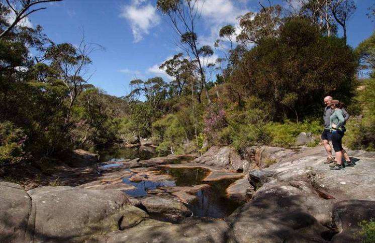 Southern Highlands Bushwalkers are offering a range of walks for all levels. It's just one of the ways you can get out and about in the region this week.