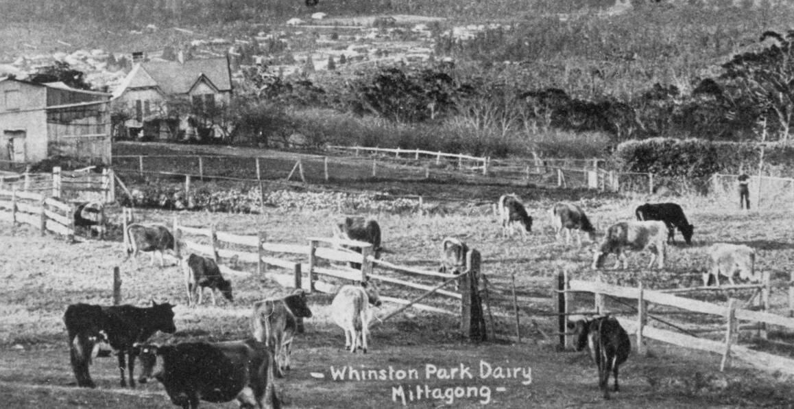 FINE PASTURE: An early dairy farm overlooking Mittagong. Photo: BDH&FHS.