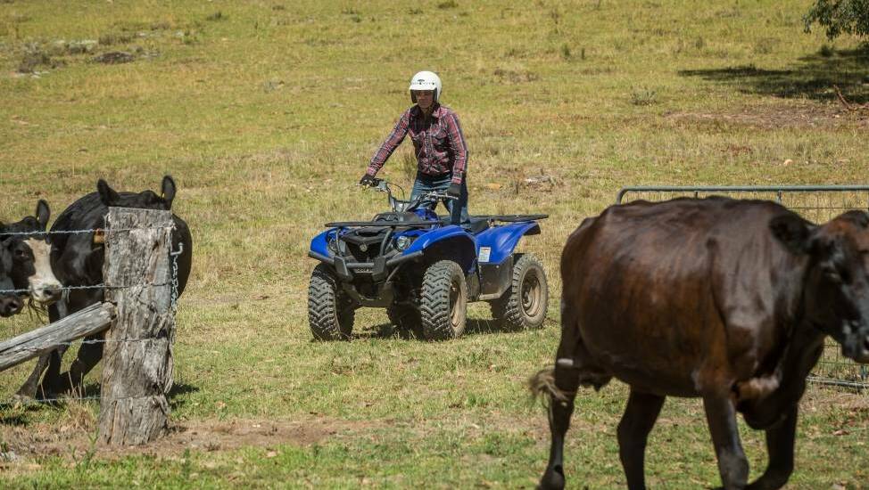 Quad bikes are a major cause of death and serious injury in rural workplaces. Photo: file