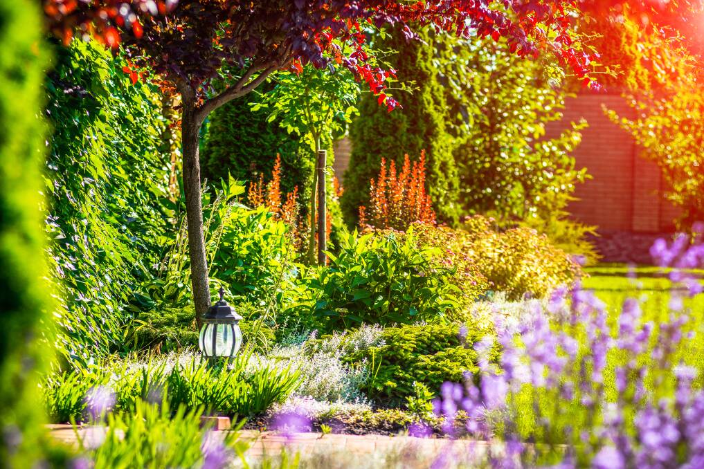 Plants play the lead part in making our gardens magical. Picture: Shutterstock.