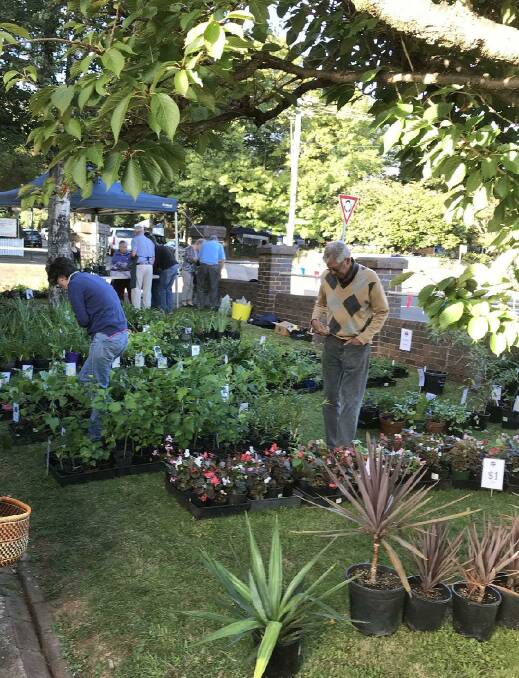 A previous plant sale in the church yard. Picture supplied.