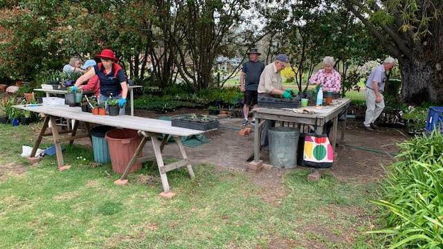 The Grey Gardeners, Bowral Uniting Church's gardening group, at work. Picture supplied.