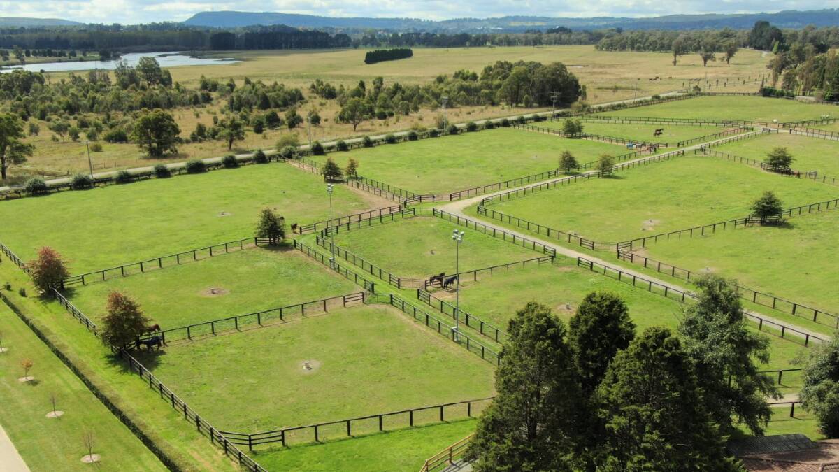 'Local, international buyers' circling Moss Vale thoroughbred estate