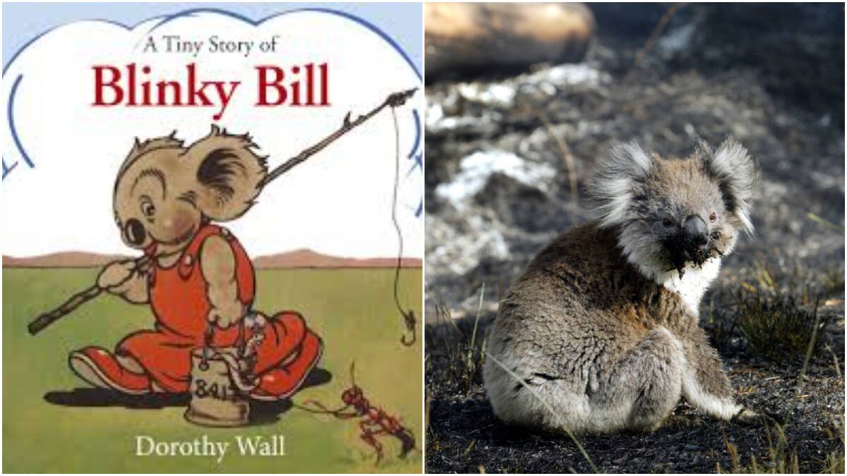 Then and now: The beloved children's book character Blinky Bill, left, and one of the many koalas burnt in the Framlingham Forest bushfire in Victoria in 2007.