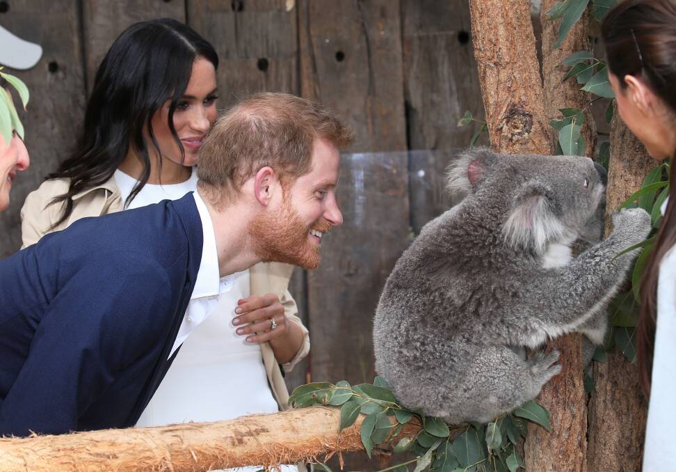 The Duke and Duchess of Sussex, Prince Harry and Meghan Markle visit Taronga Zoo. Photo: Toby Zerna

