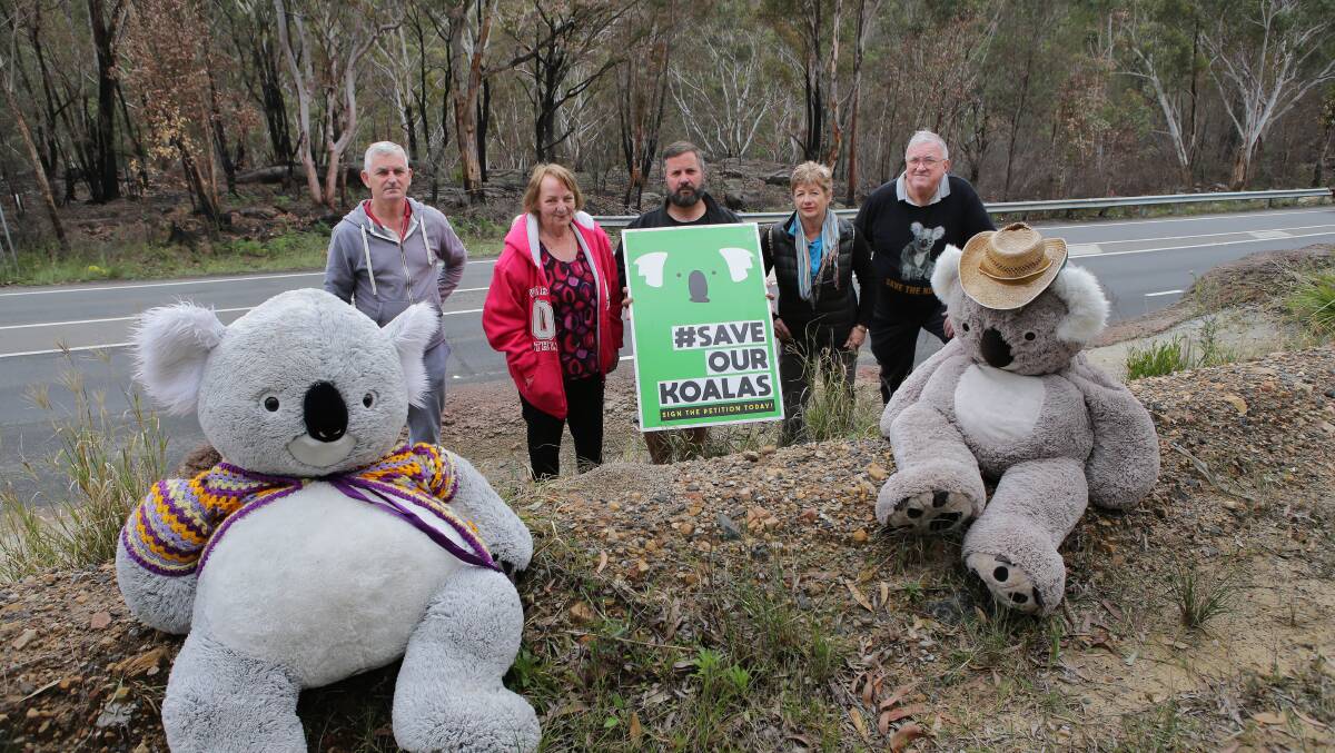 Residents of the Sutherland Shire campaigning for better protection for koalas on the busy Heathcote Rd. 