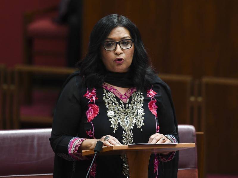 Australia's first female Muslim senator Mehreen Faruqi has lashed politicians for fanning division.