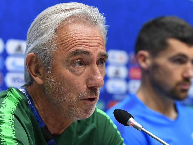 Bert van Marwijk has been sacked as coach of the UAE after just 10 months.
