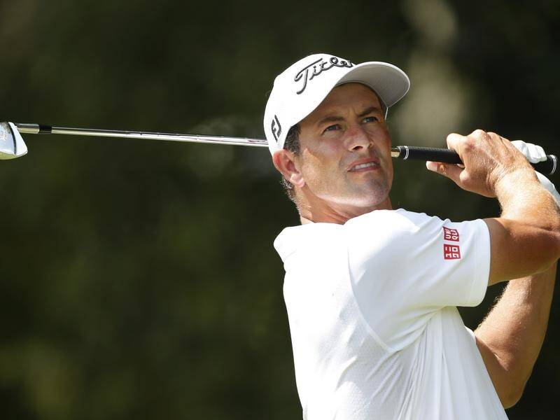 Adam Scott has been lauded for having the silkiest swing in world golf.