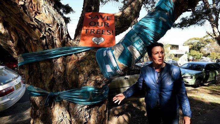 Sydney lord mayor Clover Moore with one of the trees due for removal in Sydney Park. Photo: Kate Geraghty