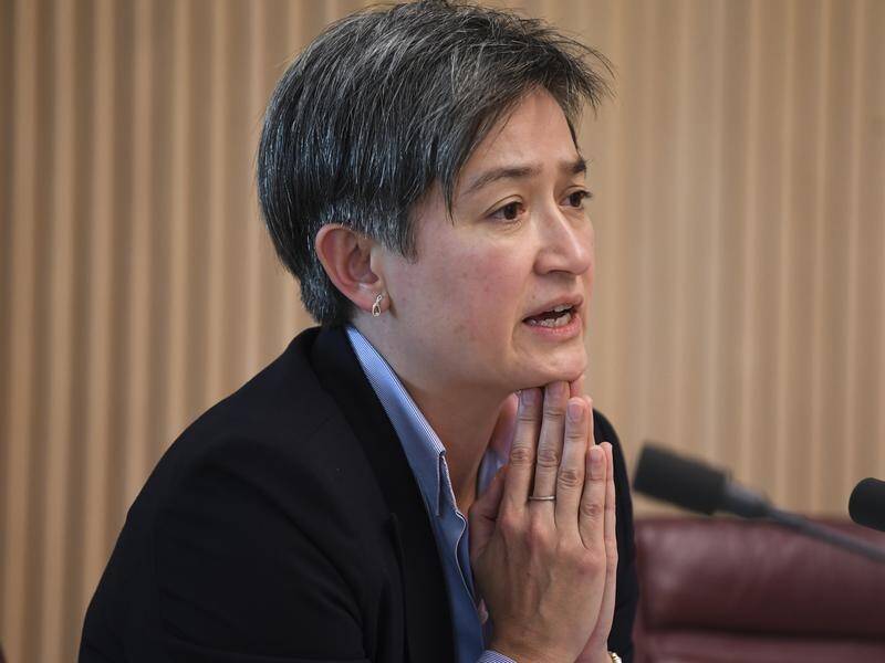 Labor Senator Penny Wong is accused of taking her budget papers out of the lockup early.