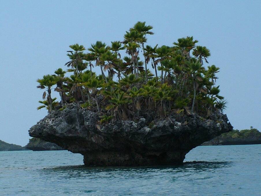 THE strange mushroom-shaped limestone islets in the lagoon on Fulaga Island.
