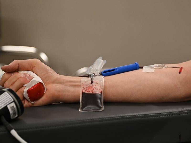 People are being urged to give blood over Christmas, when demand is high and many donors are away. (Steven Saphore/AAP PHOTOS)