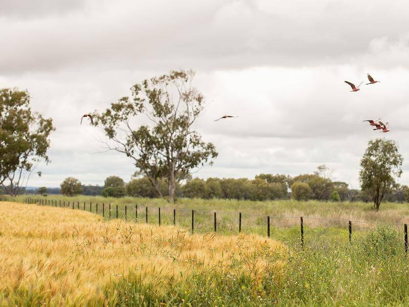 The coalition has unveiled a loan guarantee scheme to help a new generation of farmers buy property.