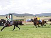 Goulburn horse racing industry welcomes a $9.5 million state government funding injection. Picture file