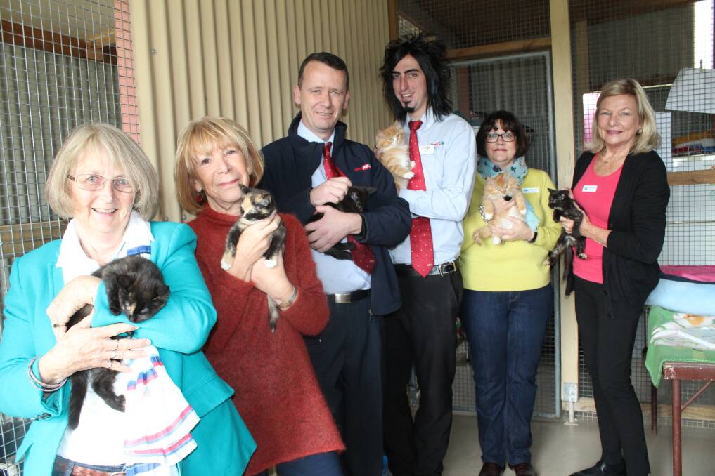 Lynette Desmond, Frankie Rowntree, Brad Payten and Matt Campbell from IGA, Deborah Barnes and Dee Morgan with a litter of kittens at the Wingecarribee Animal Shelter.  
	Photo by Megan Drapalski