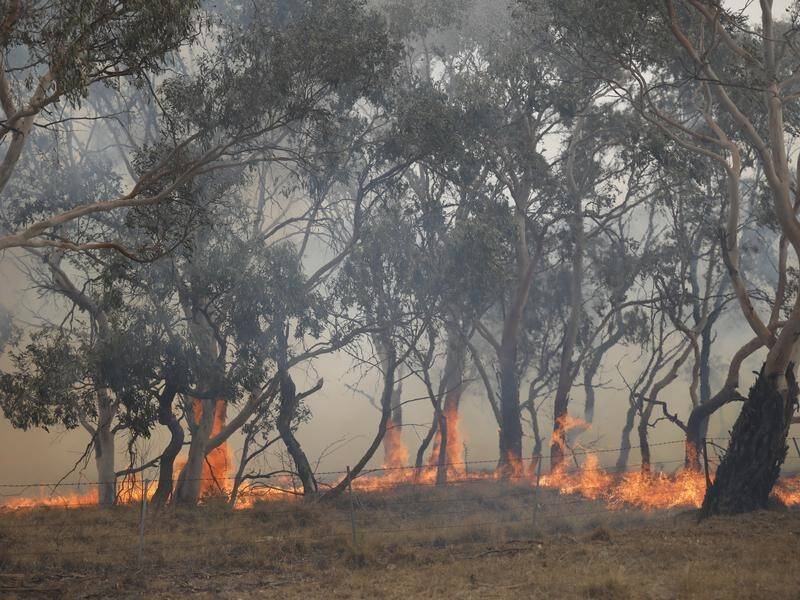 Former emergency service chiefs say the bushfire royal commission is doomed to fail.