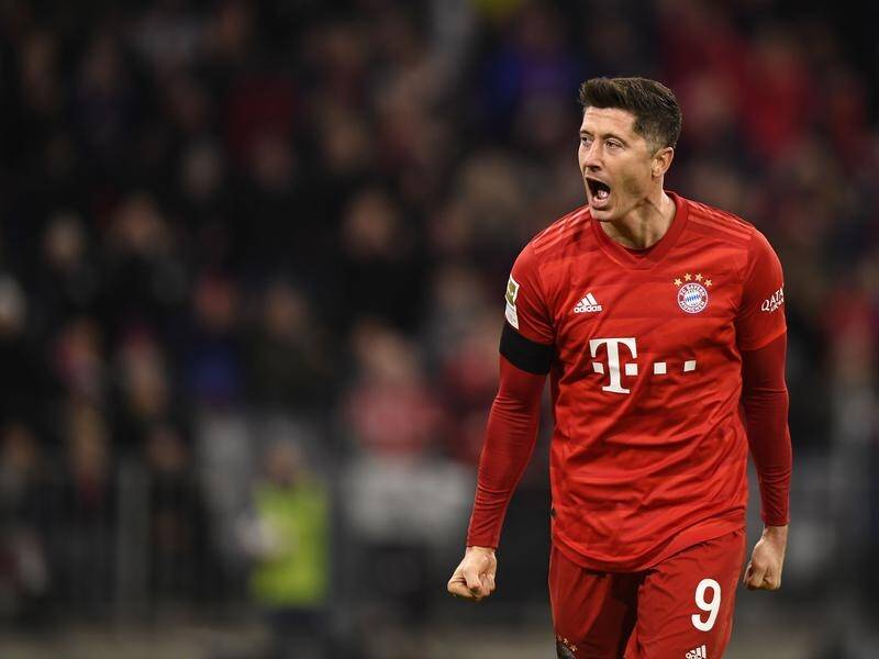 Striker Robert Lewandowski celebrates scoring to restore Bayern Munich's lead against Paderborn.