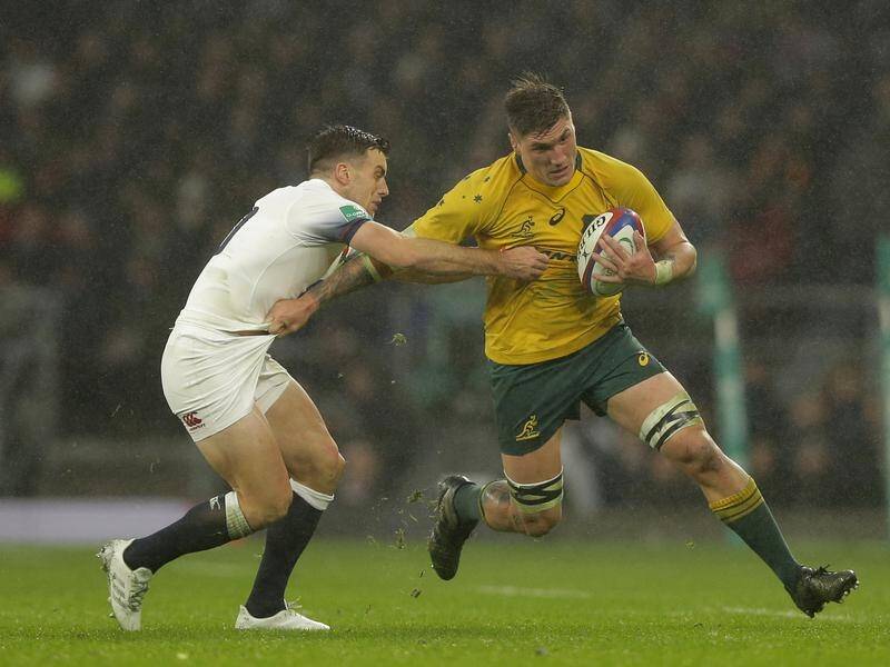 Backrower Sean McMahon is pushing for a Wallabies berth against Argentina in Townsville.
